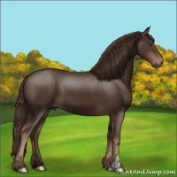 Horse Color:Liver Chestnut 