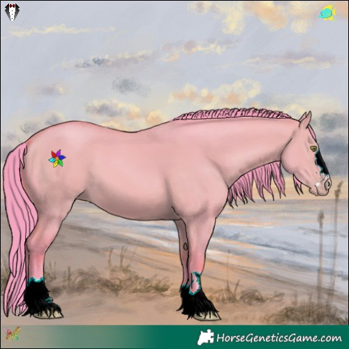 Horse Color:Watercolor Amber Champagne Dun 