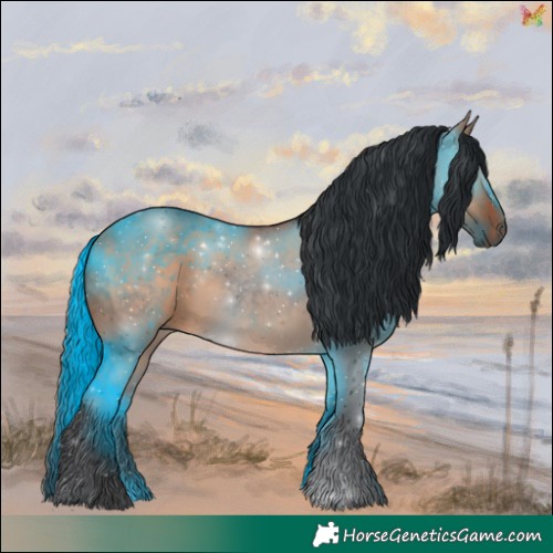 Horse Color:White Spotted Brown Dun 