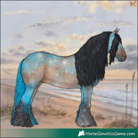 Horse Color:White Spotted Brown Dun