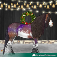 Horse Color:White Spotted Bay 