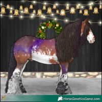 Horse Color:White Spotted Bay 