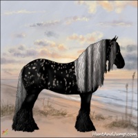 Horse Color:Void Watercolor White Spotted Silver Bay Dun Splash Appaloosa 
