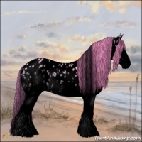 Horse Color:Void Watercolor White Spotted Red Dun Splash Appaloosa 