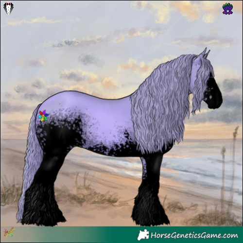 Horse Color:Void Watercolor White Spotted Gold Champagne Rabicano 