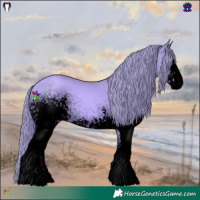 Horse Color:Void Watercolor White Spotted Gold Champagne Rabicano