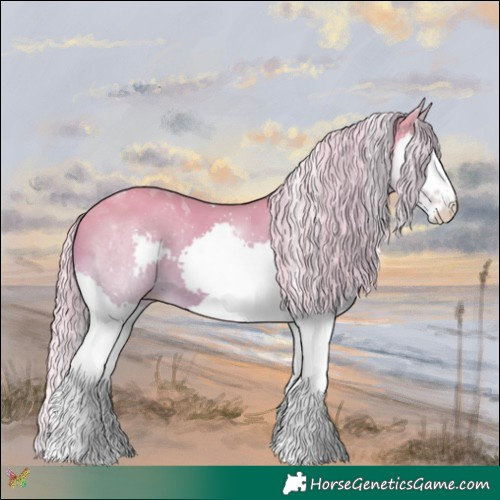Horse Color:Watercolor Silver Amber Champagne Dun Splash Tobiano
