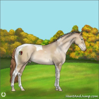 Horse Color:Smoky Black Pearl Tobiano