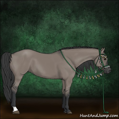 Horse Color:Grullo 