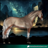 Horse Color:Void Silver Blue Onyx 