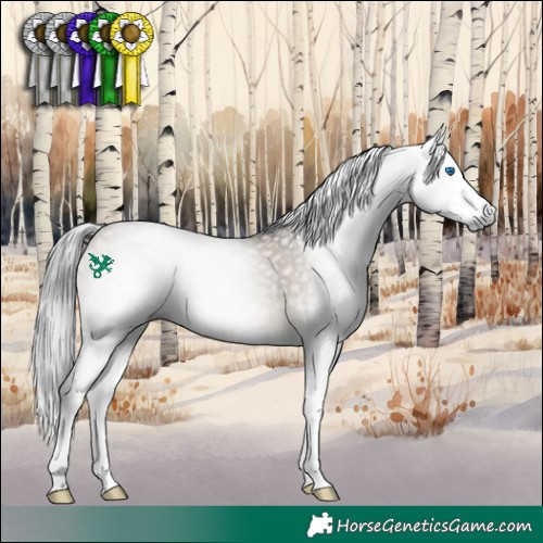 Horse Color:Gray Brown Dun Splash