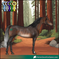 Horse Color:Brown Rabicano