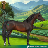 Horse Color:Brown 
