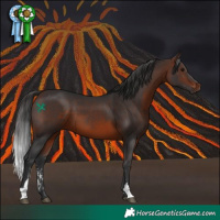 Horse Color:Brown Sabino