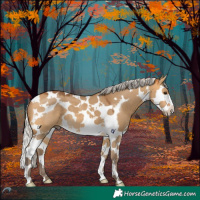 Horse Color:Silver Buckskin Dun Splash Tobiano 