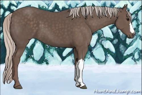 Horse Color:Silver Black 