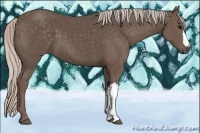 Horse Color:Silver Black 