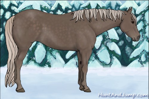 Horse Color:Silver Black 