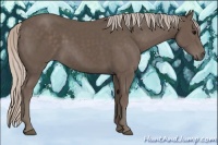 Horse Color:Silver Black 