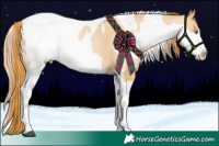 Horse Color:Red Dun Pearl Tobiano Rabicano  and White Spotted Grullo Pearl Appaloosa 