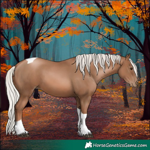 Horse Color:Silver Black Pearl Tobiano