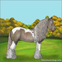 Horse Color:Silver Black Tobiano Rabicano 