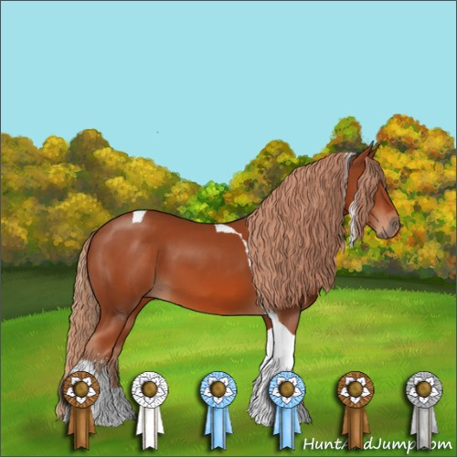 Horse Color:Chestnut Sabino Tobiano