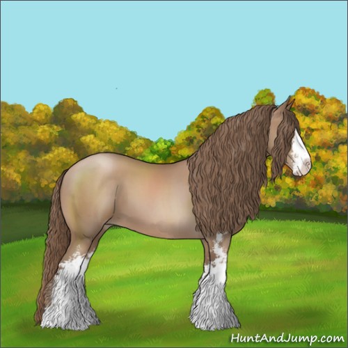 Horse Color:Black Pearl Sabino