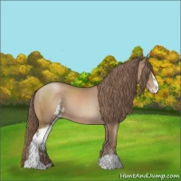 Horse Color:Black Pearl Sabino