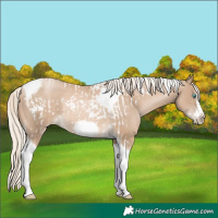 Horse Color:Chocolate Palomino Pearl Tobiano Frame  and Chocolate Palomino Pearl Splash Tobiano Frame 