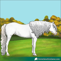Horse Color:Smoky Creme Roan Dun Appaloosa Rabicano 