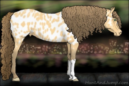 Horse Color:Amber Cream Champagne Appaloosa