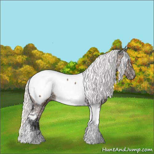 Horse Color:Liver Red Dun Mushroom Tobiano Appaloosa 