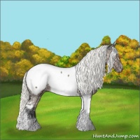 Horse Color:Liver Red Dun Mushroom Tobiano Appaloosa 