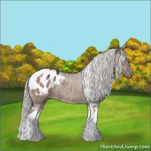 Horse Color:Liver Red Dun Mushroom Tobiano Appaloosa 