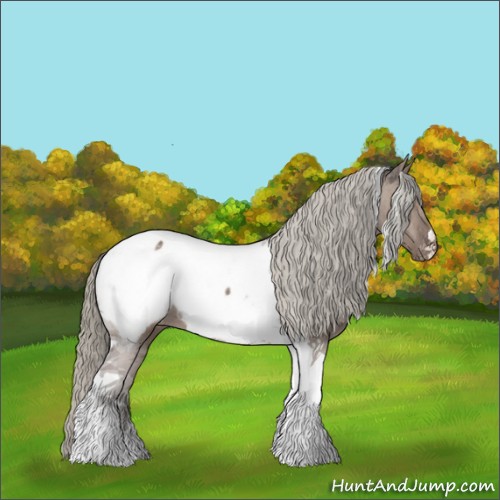 Horse Color:Liver Red Dun Mushroom Tobiano Appaloosa 