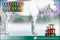 Horse Color:Gray White Spotted Classic Champagne Ice Roan Appaloosa  and Gray White Spotted Silver Black Tobiano Appaloosa 