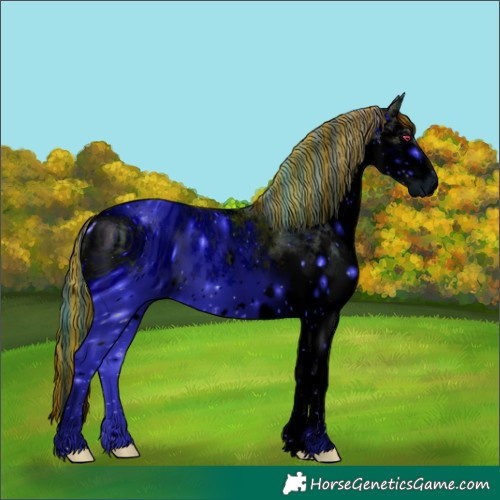 Horse Color:ERROR: UNKNOWN ANOMALY