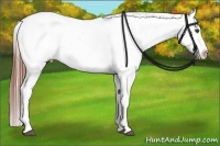 Horse Color:Bay Sabino Varnish