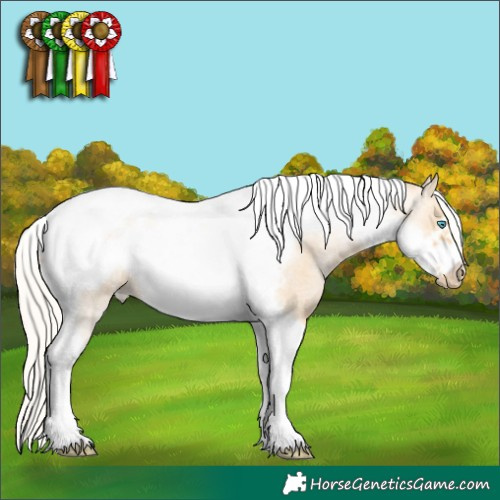 Horse Color:Silver Buckskin Roan Pearl Tobiano Frame 