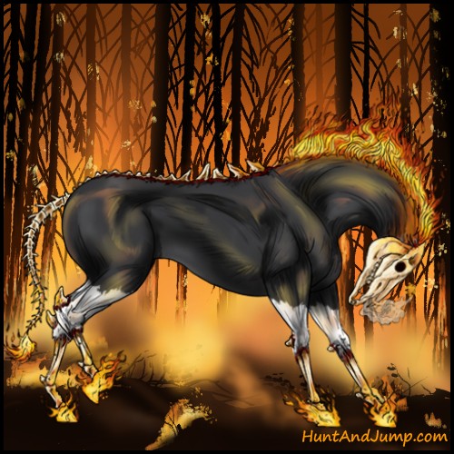 Horse Color:Black Splash