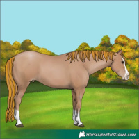 Horse Color:Painted Black Pearl Splash