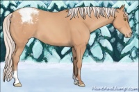 Horse Color:Silver Amber Champagne Varnish