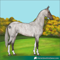 Horse Color:Silver Brown Roan Dun Tobiano Rabicano 
