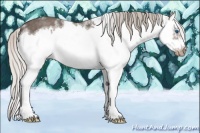 Horse Color:White Spotted Silver Blue Roan Splash Frame Appaloosa 