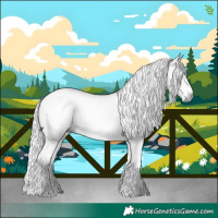 Horse Color:Gray White Spotted Brown Roan Frame 