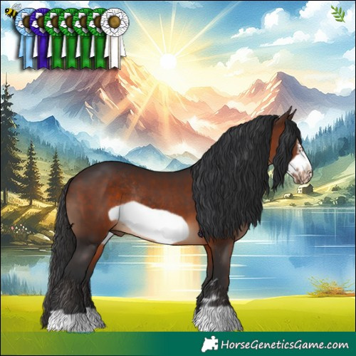 Horse Color:Brown Frame Rabicano