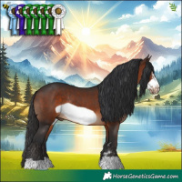 Horse Color:Brown Frame Rabicano