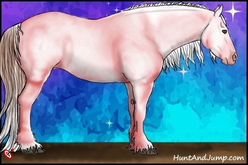Horse Color:White Spotted Black Blanket