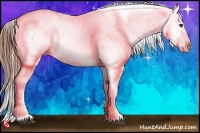 Horse Color:White Spotted Black Blanket 